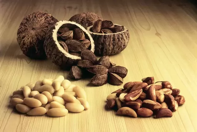 Brazil nut for potency