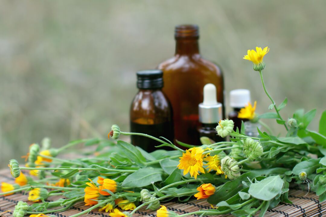 Elecampane - a folk remedy for sexual excitement with reduced potency