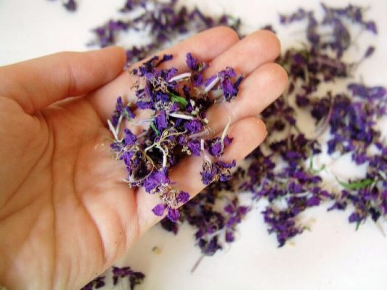 Medicines are prepared from dried hearth flowers