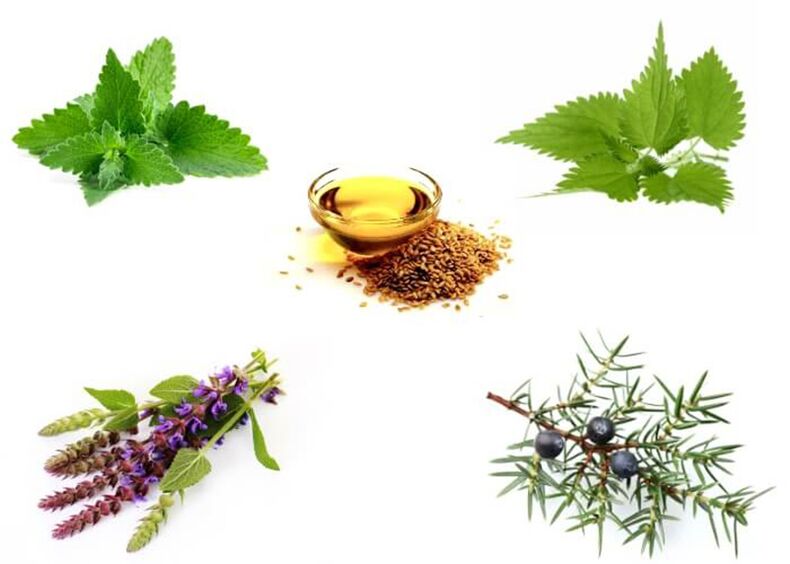 Mint, honeysuckle, thyme, spruce and flaxseed oil
