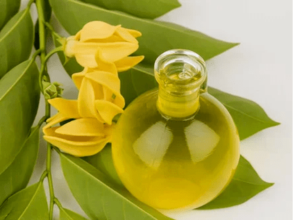 Aromatherapy to improve potency